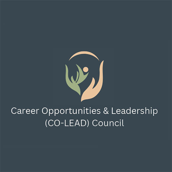 CO-LEAD logo